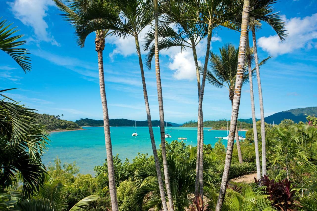 Baybliss Escape #4 - Adults Only Apartment Shute Harbour Exterior foto